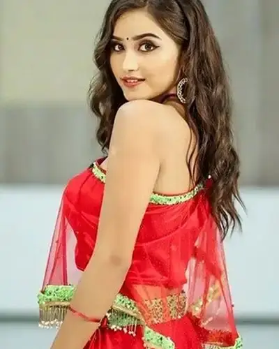 Call Girls Service Kamrej